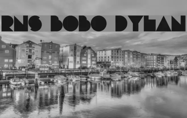 RNS Bobo Dylan フォント examples