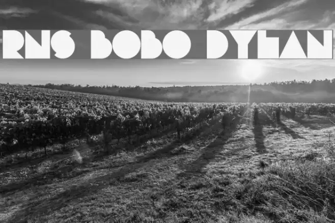 RNS Bobo Dylan フォント examples