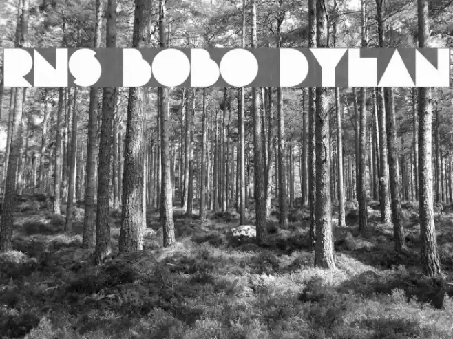 RNS Bobo Dylan フォント examples