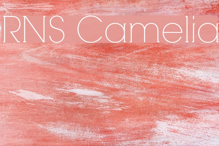 RNS Camelia Font examples