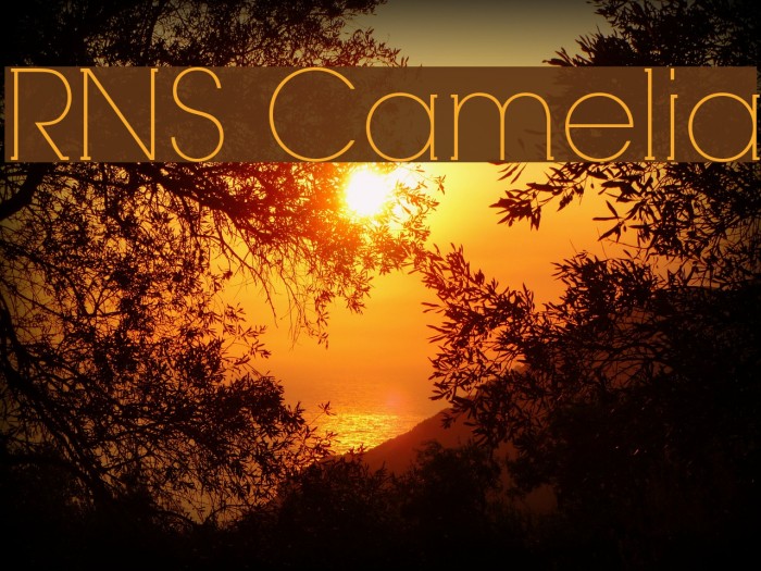 RNS Camelia Font examples