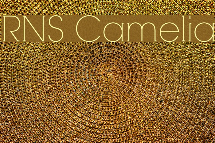 RNS Camelia Font examples