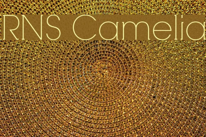 RNS Camelia Example 3
