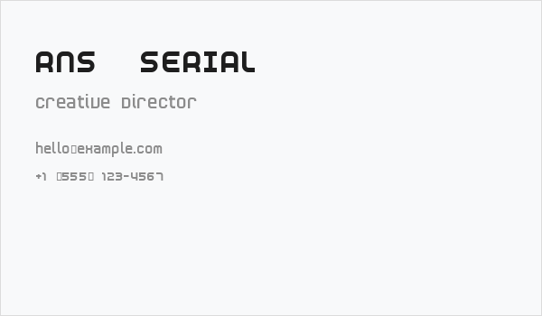 RNS  SERIAL Business Card