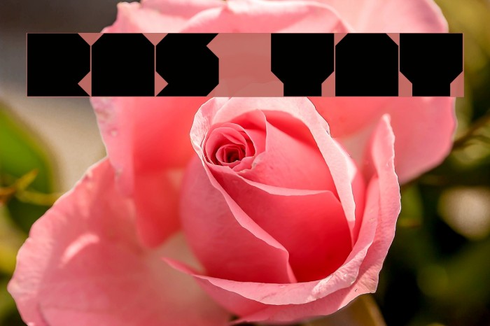 RNS TNT Font examples