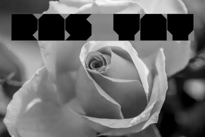 RNS TNT Font examples