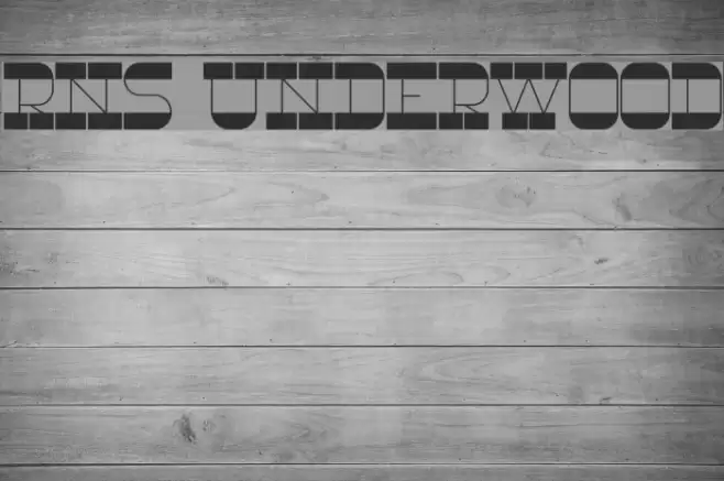 RNS Underwood フォント examples