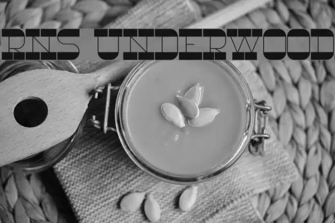 RNS Underwood フォント examples