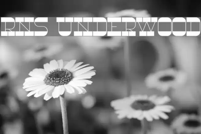 RNS Underwood フォント examples