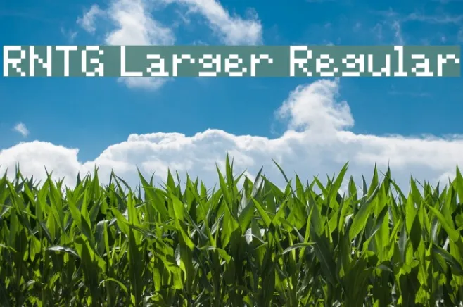RNTG Larger Regular Example 3