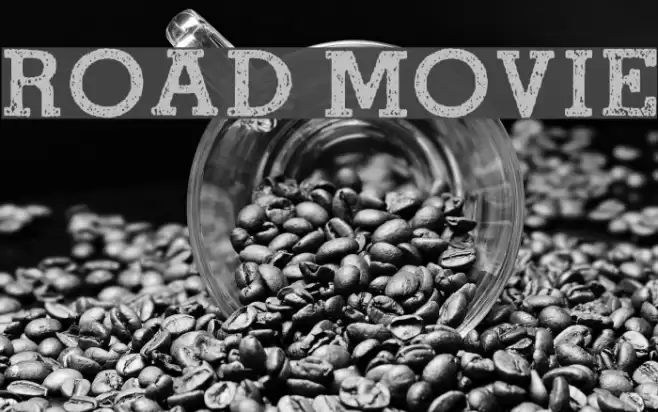 ROAD MOVIE Polices examples