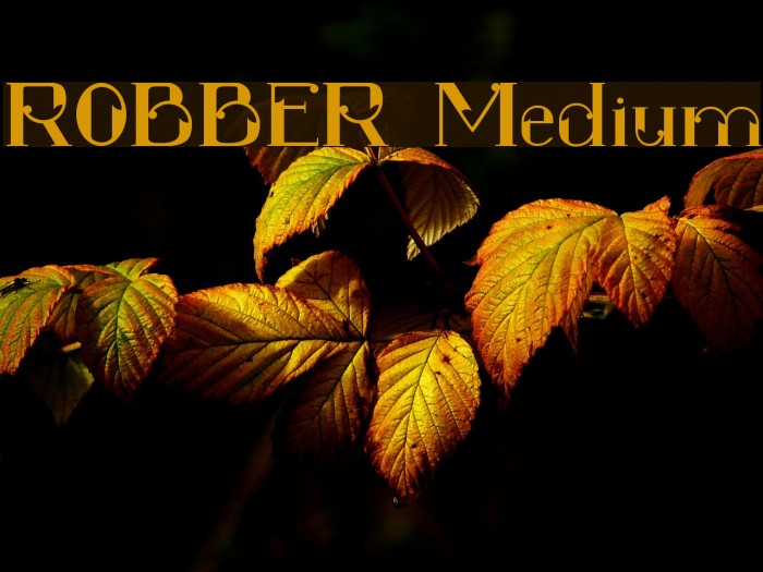 ROBBER Medium फ़ॉन्ट examples