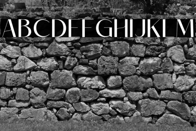 ROBIMA MERTTHA SANS SERIF Polices examples