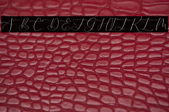 ROBIMA MERTTHA SCRIPT Example 1