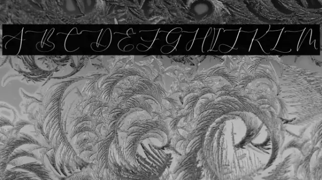 ROBIMA MERTTHA SCRIPT Шрифта examples