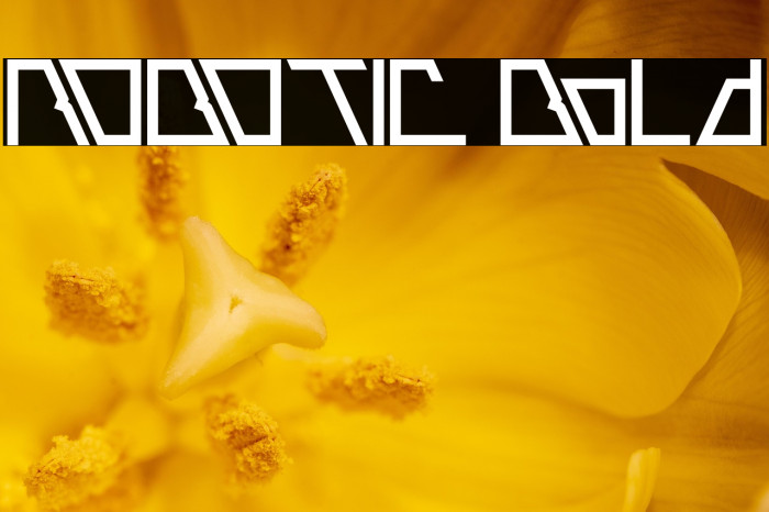 ROBOTIC Bold Example 1