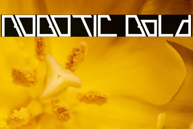 ROBOTIC Bold Example 1