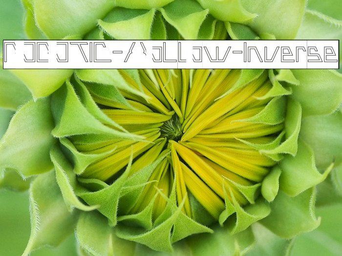 ROBOTIC-Hollow-Inverse Example 3