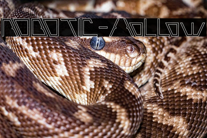 ROBOTIC-Hollow Example 3