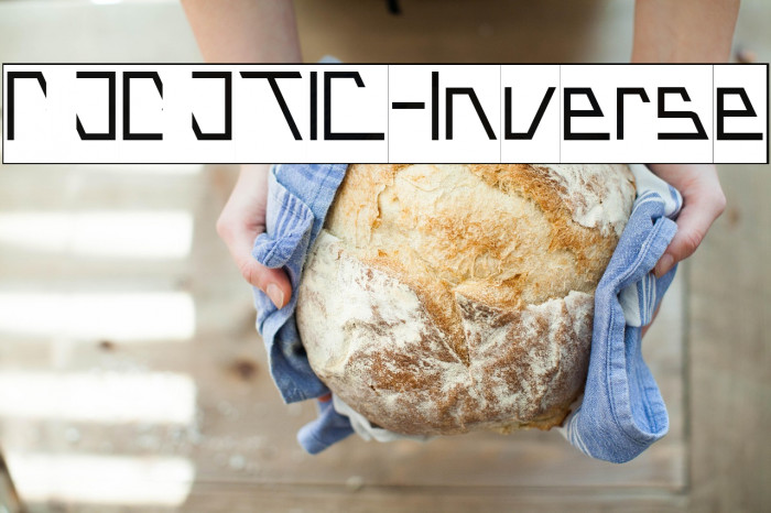 ROBOTIC-Inverse Example 1