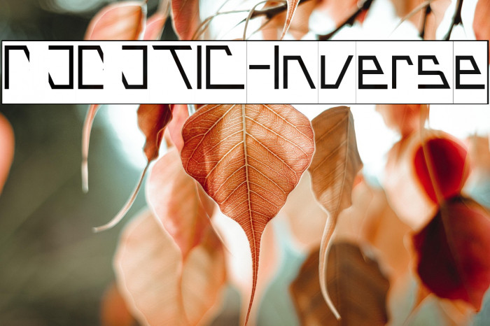 ROBOTIC-Inverse Example 2