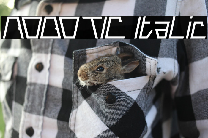 ROBOTIC Italic Example 3