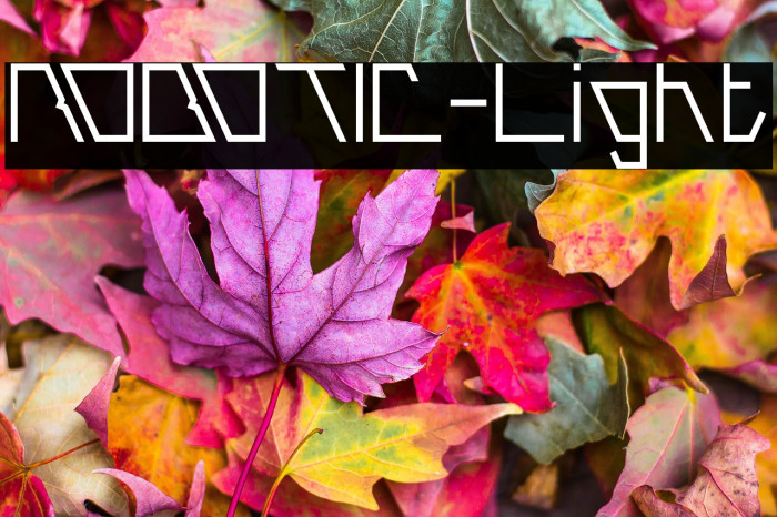 ROBOTIC-Light Example 2