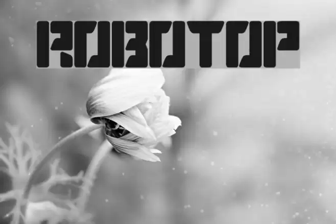 ROBOTOP Font examples