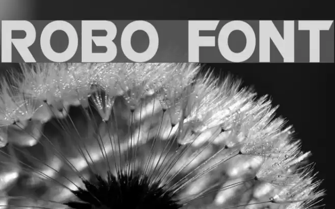 ROBO Font examples