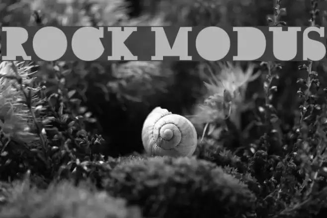 ROCK MODUS خط examples