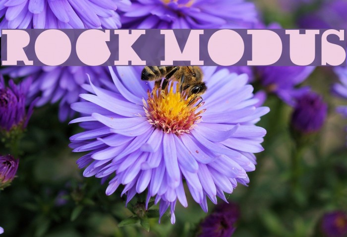 ROCK MODUS Font examples