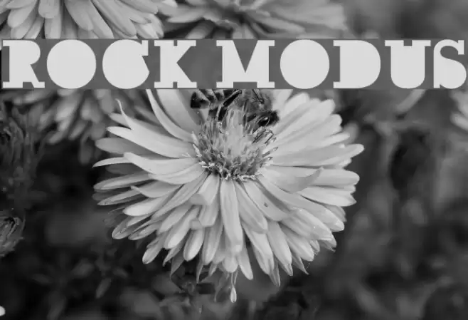 ROCK MODUS خط examples