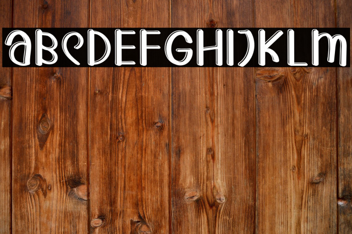 ROCK SNAKE Example 1