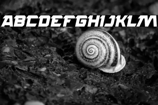 ROCK STEADY Bold Italic Font examples