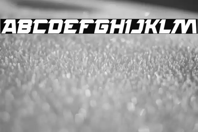 ROCK STEADY Bold Italic Font examples