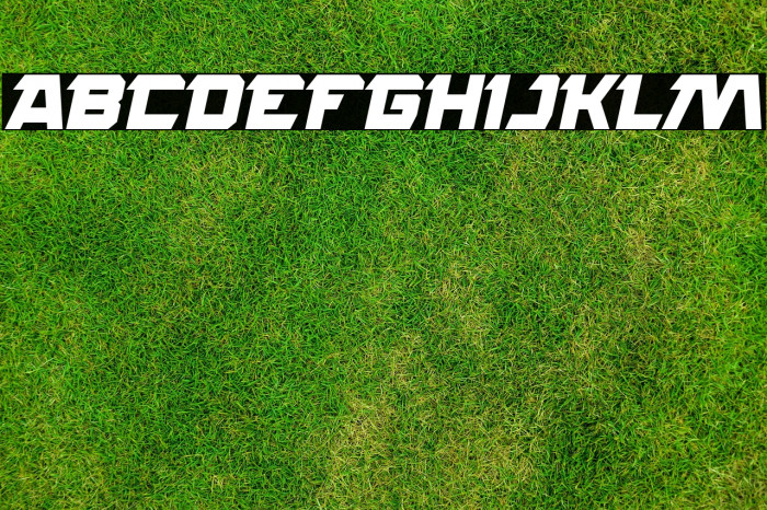 ROCK STEADY Bold Italic Example 3