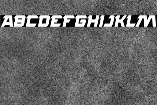 ROCK STEADY Bold Italic Font examples