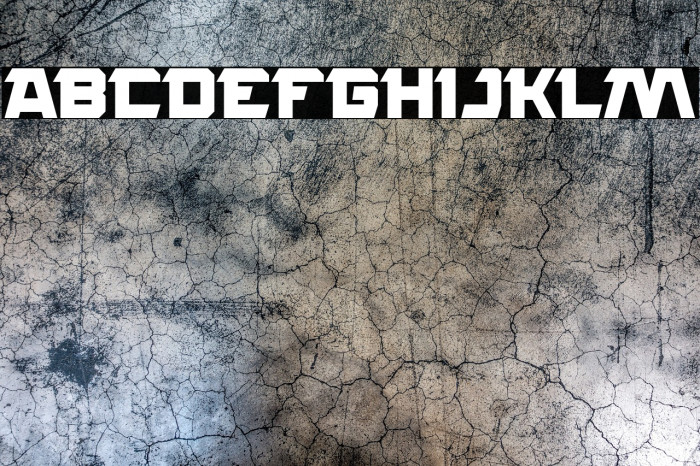 ROCK STEADY Bold Example 1