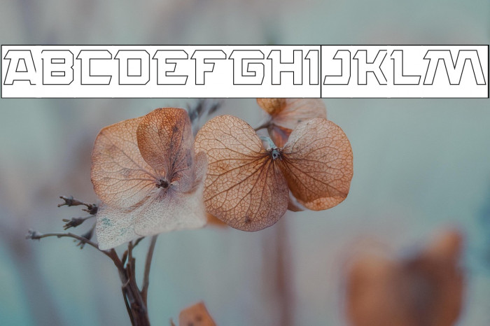 ROCK STEADY-Hollow-Inverse Example 3