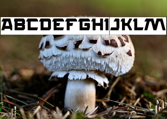 ROCK STEADY-Inverse Example 2