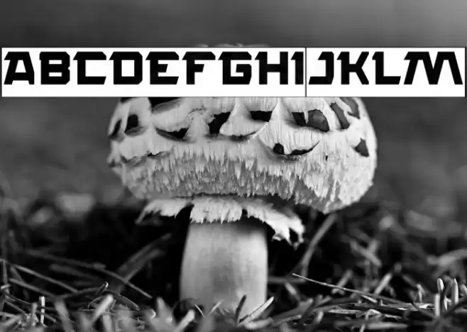 ROCK STEADY-Inverse Font examples