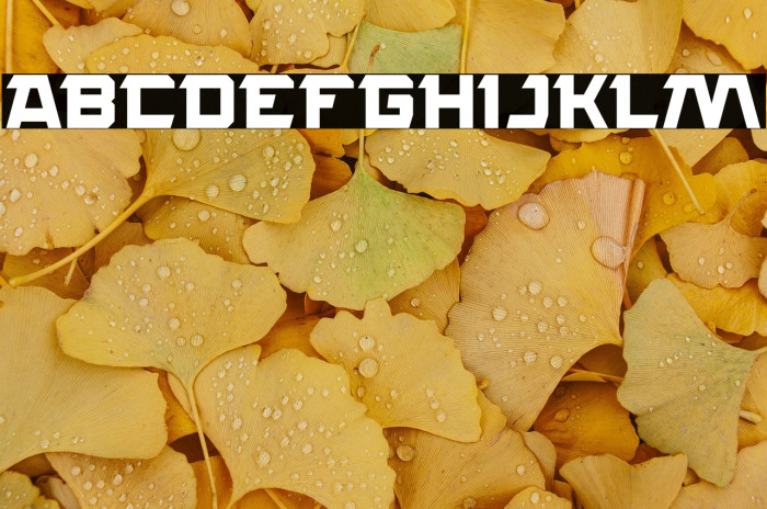 ROCK STEADY Example 3