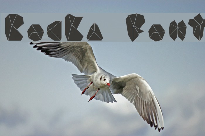 ROCKA Font examples