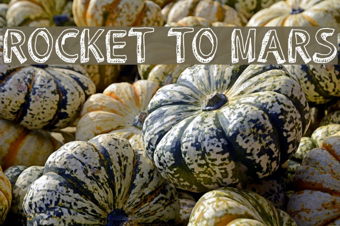 ROCKET TO MARS Example 1