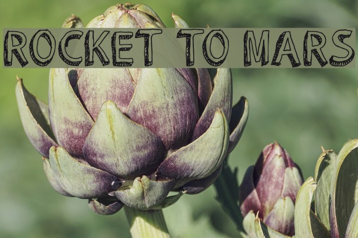 ROCKET TO MARS Example 3