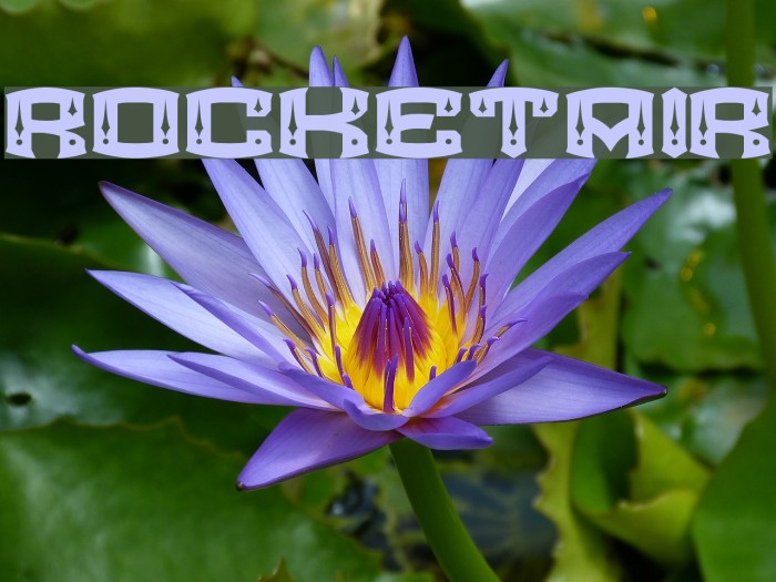 ROCKETAIR Font examples