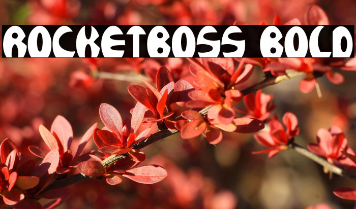 ROCKETBOSS Bold Example 1