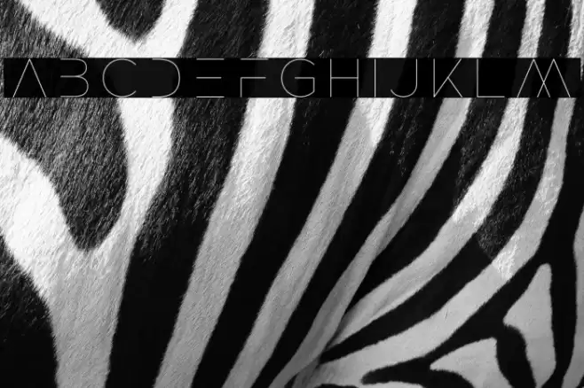 ROCKETWILDNESS Font examples