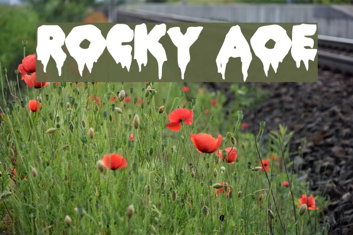 ROCKY AOE Шрифта examples