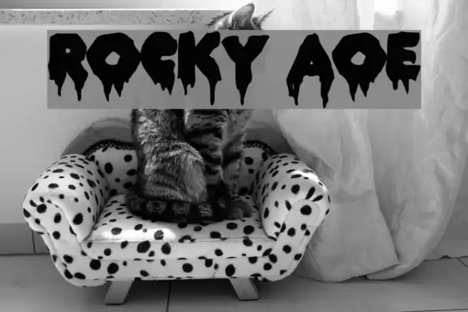 ROCKY AOE Шрифта examples